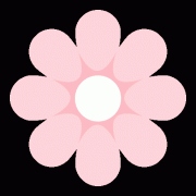 我法律王法公法律